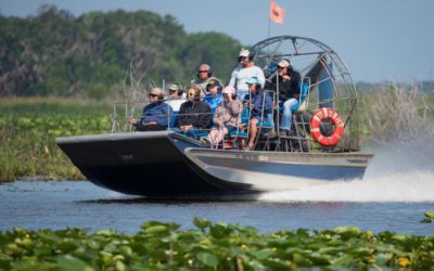 Capture the Magic: Essential Tips for Your Florida Airboat Adventure