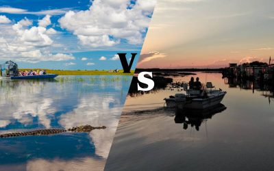 Day vs. Night Airboat Rides: Which Adventure Should You Choose?