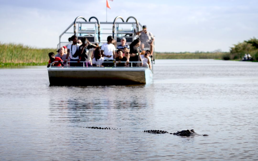 Thrill of Airboat Riding
