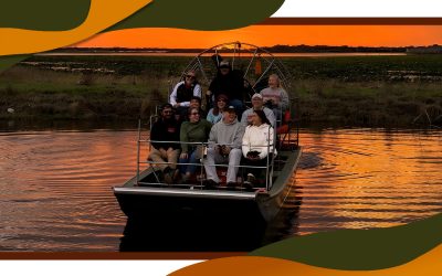 Tampa to Lake Wales: Your Perfect Central Florida Airboat Adventure
